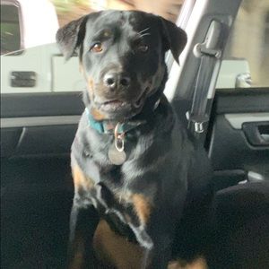 Meet your Posher, Mark